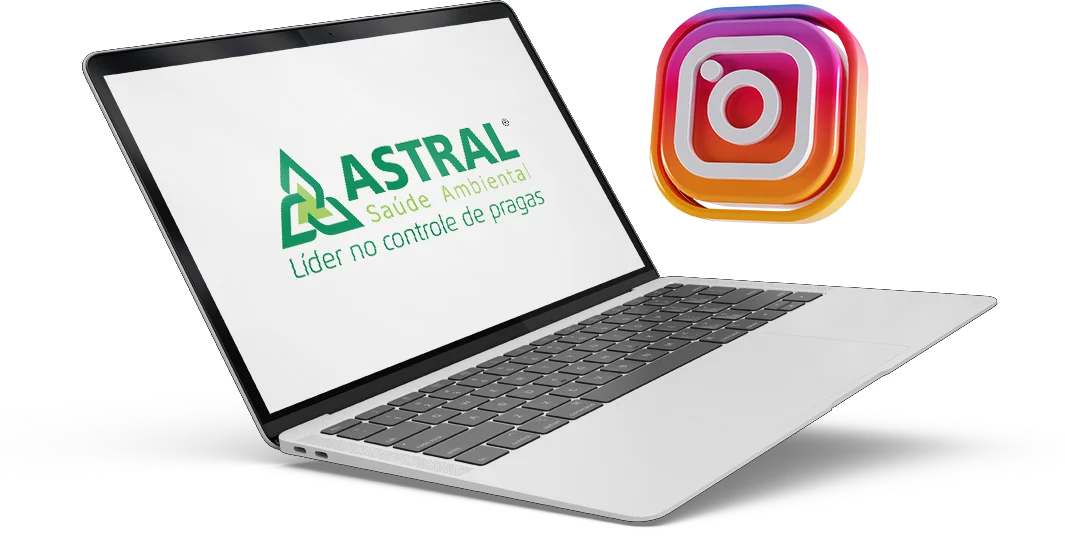 Rede social Instagram // Dedetizadora em Niterói 