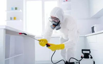 Dedetização na Área Industrial: Como Proteger a Produção e a Equipe
