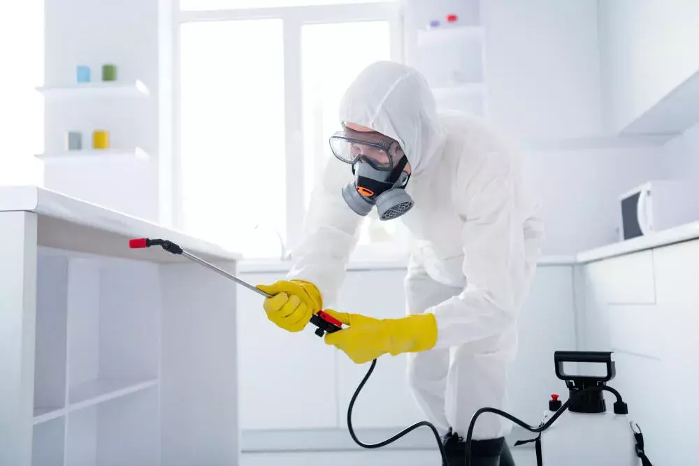 Dedetização na Área Industrial: Como Proteger a Produção e a Equipe