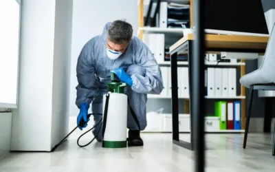 Desinsetização profissional: quando é necessária e como funciona na prática