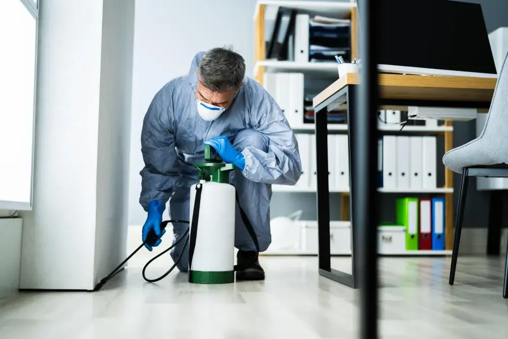Desinsetização profissional: quando é necessária e como funciona na prática